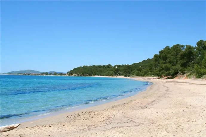 cours de natation en mer